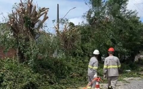 Moradores denunciam sujeira e transtornos após poda de árvores feita pela Energisa, em JP