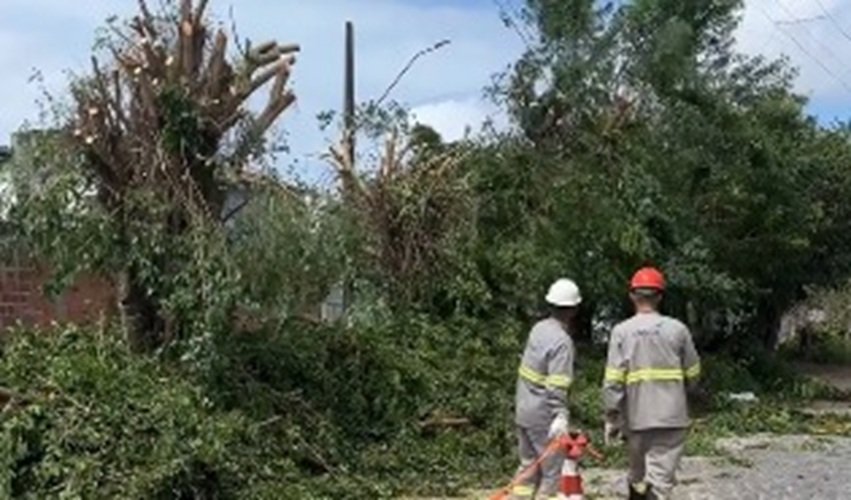 Moradores denunciam sujeira e transtornos após poda de árvores feita pela Energisa, em JP