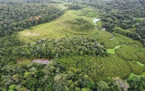 Sudema promove trilhas para comemorar o aniversário da Mata do Buraquinho em João Pessoa