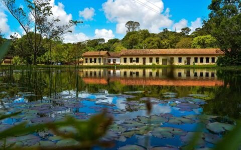 Feriado de 7 de setembro altera funcionamento do Jardim Botânico e do Vale dos Dinossauros